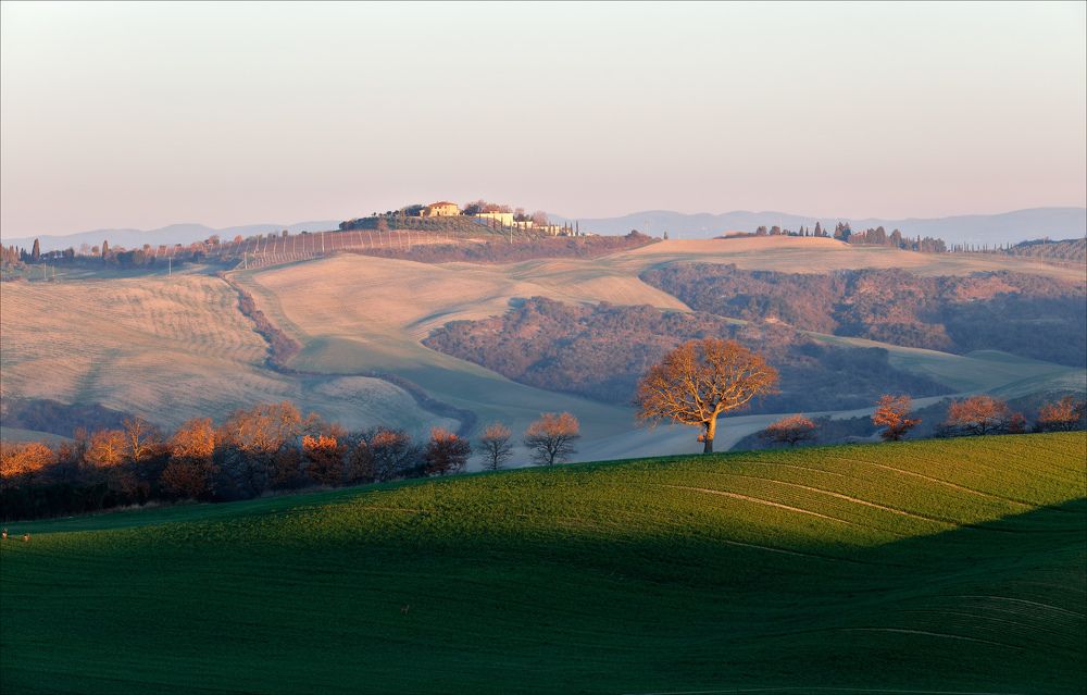 Тоскана