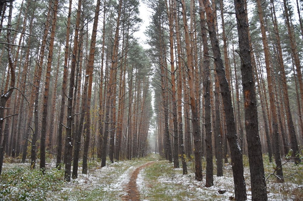 Photograph by Валерий Гудков