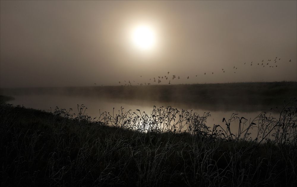 Пора улетать