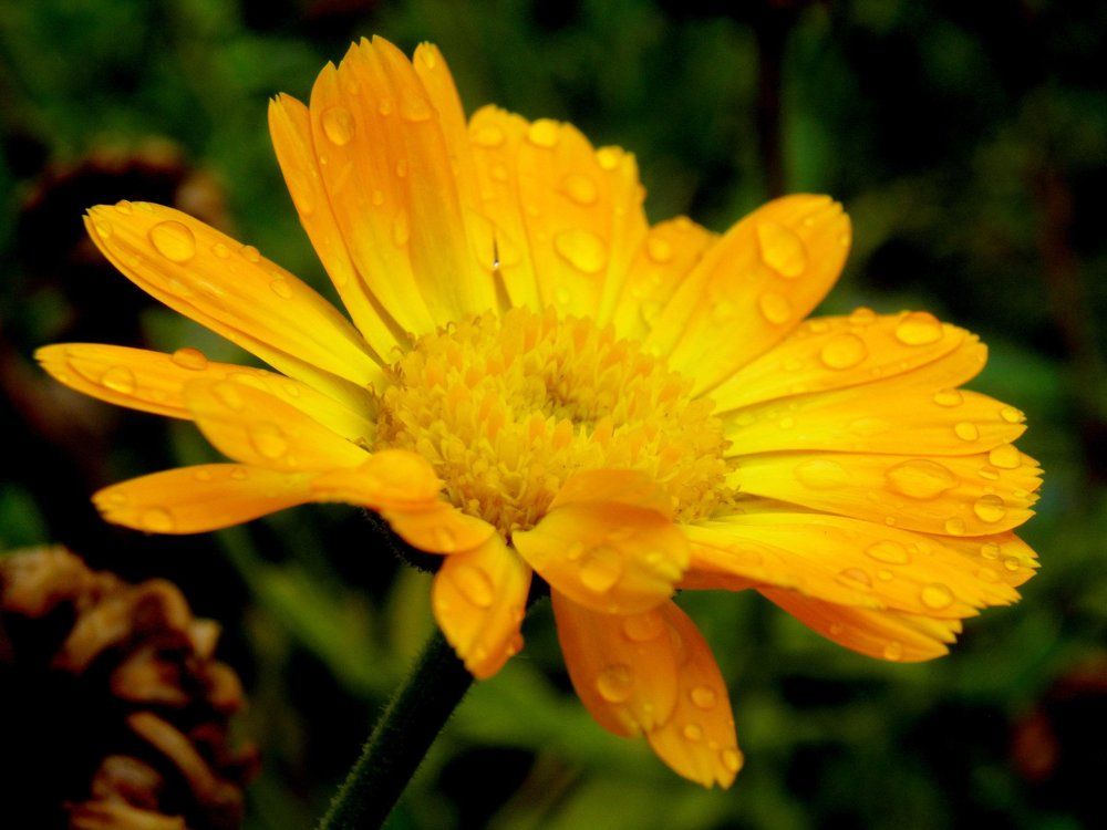 Photograph by Валерий Гудков