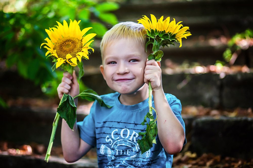 Подсолнухи