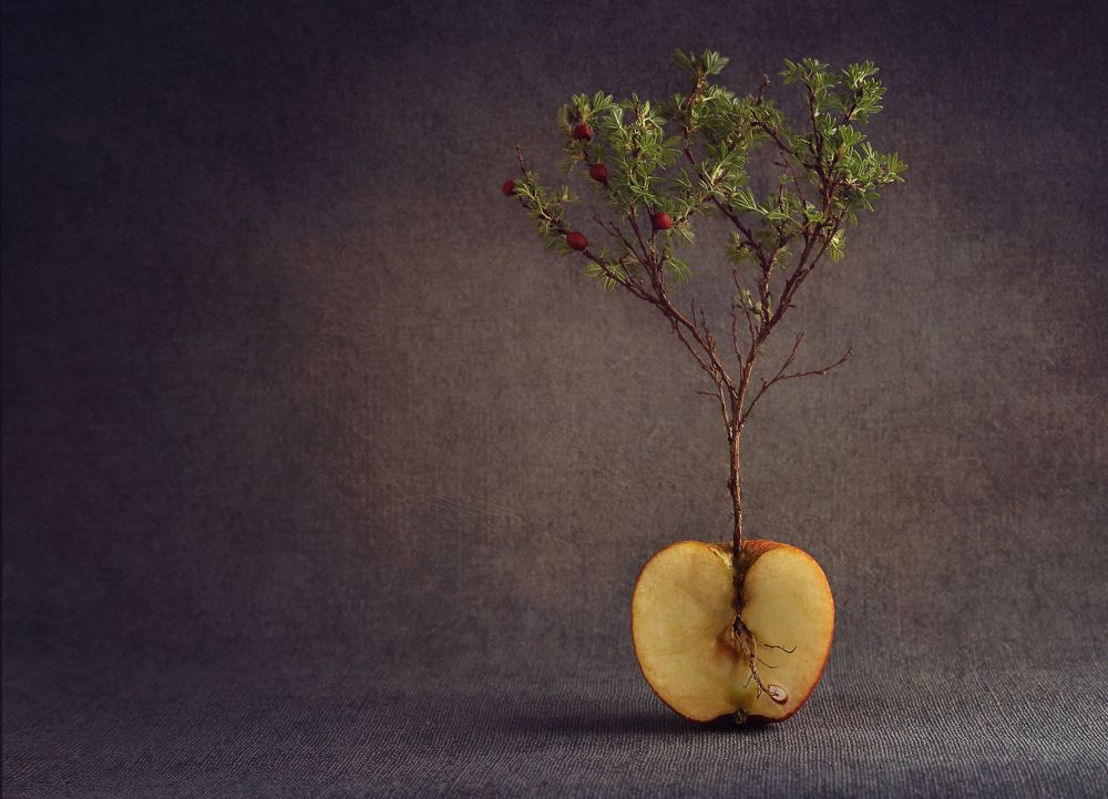 Круговорот