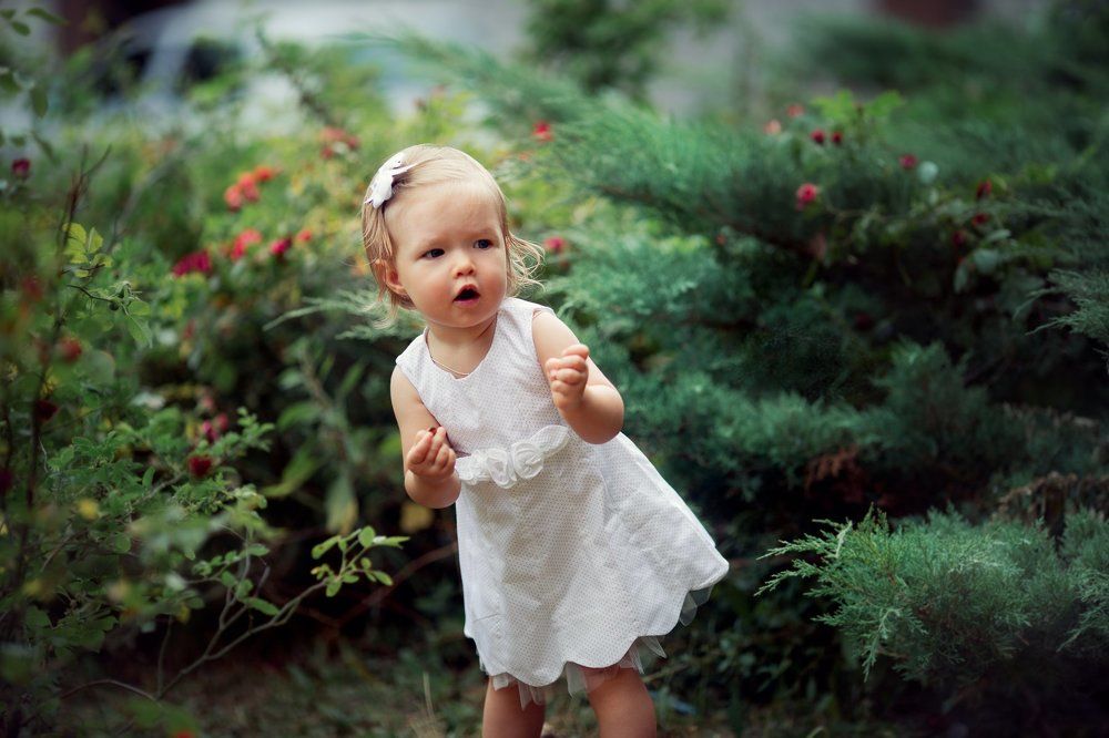 Игра в прятки