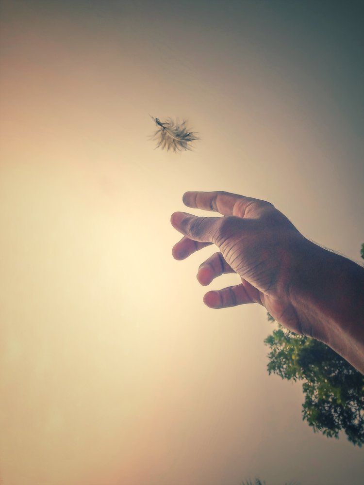 reach for it