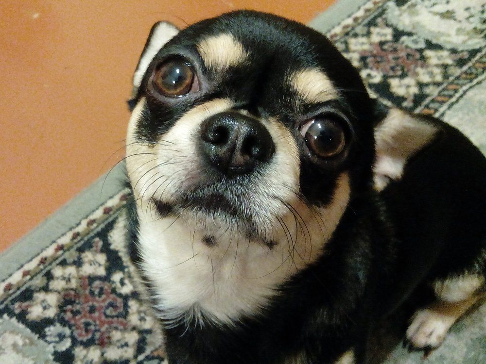 В надежде на ... вкусное!