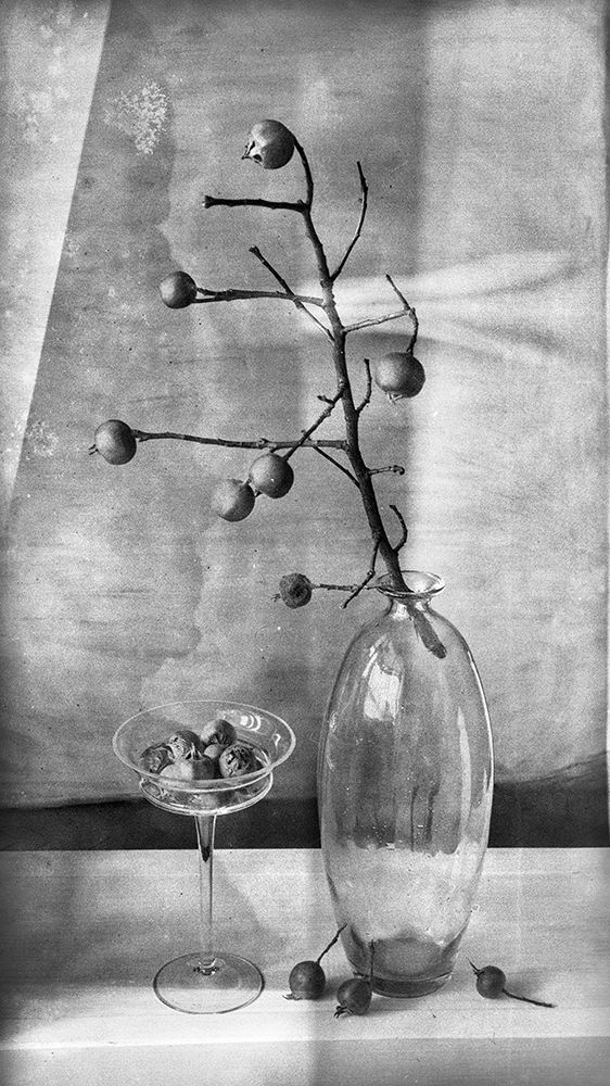 Photograph by Petya Radkova