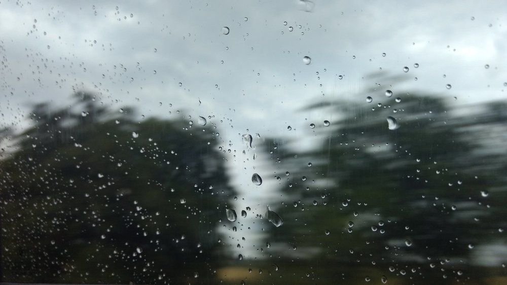Photo #2125840