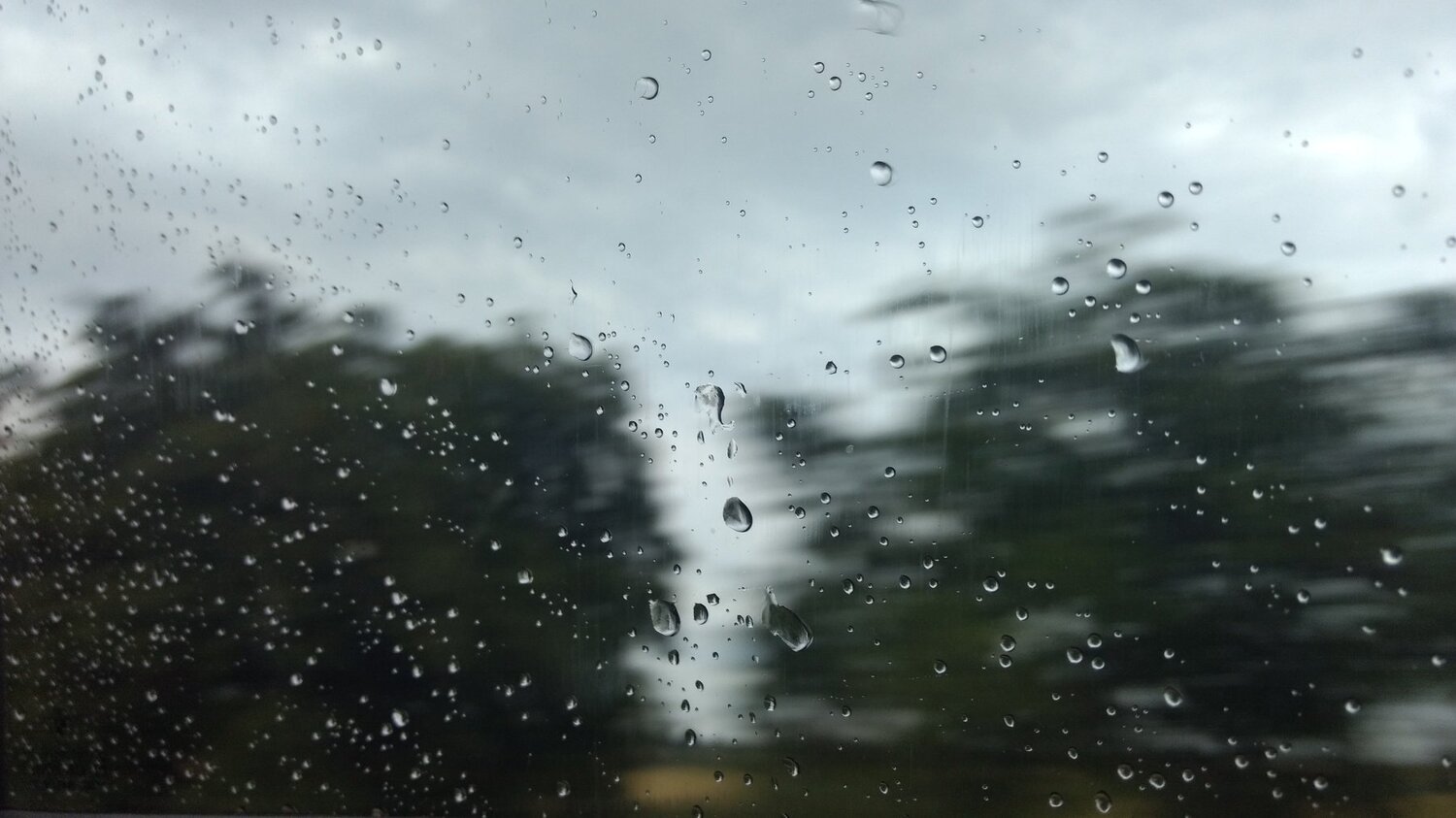 Photo #2125840