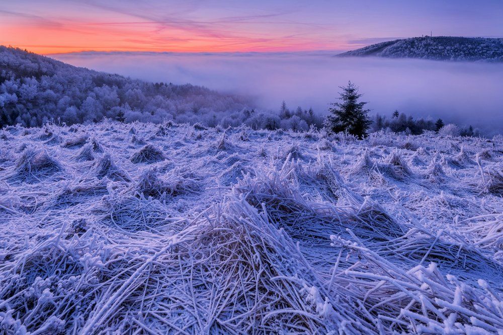 Frosty morning in the Ore Mountains.