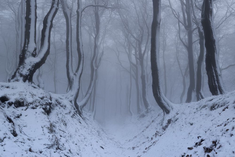 Winter in the Ore mountains