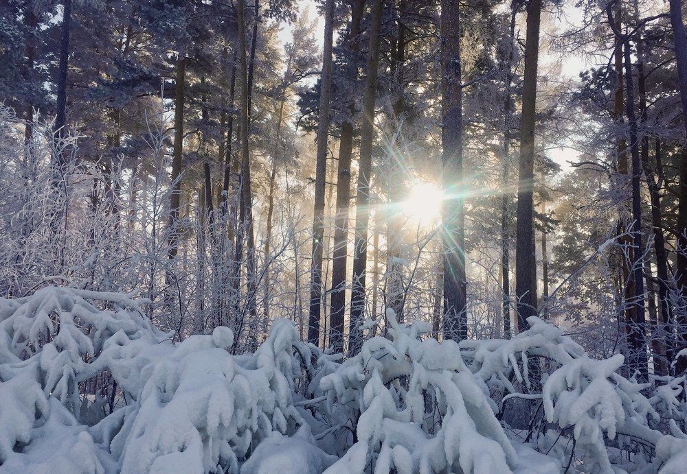 Фотография автора Степин Геннадий