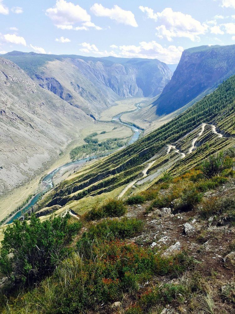 Фотография автора Степин Геннадий
