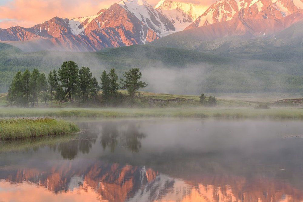 Туманный рассвет