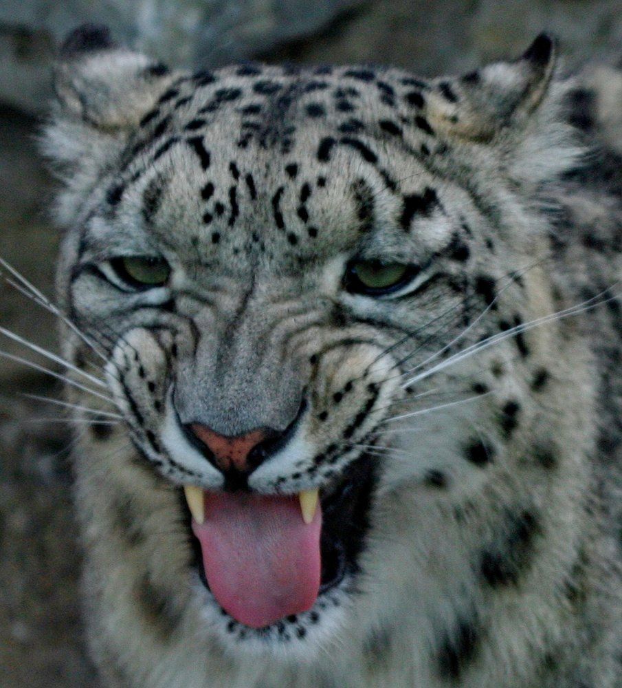 Не стой на пути.