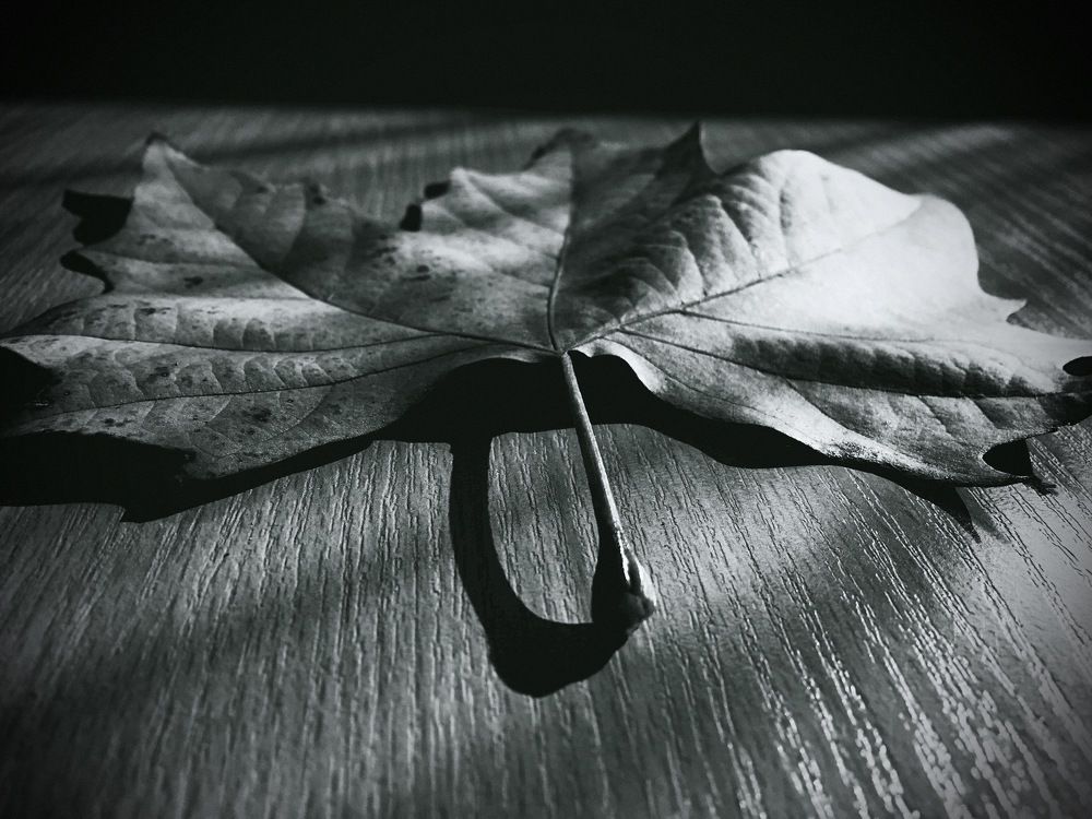 Photograph by Ruzanna