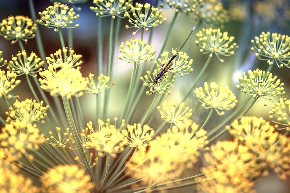 Photograph by Татьяна Слёзкина