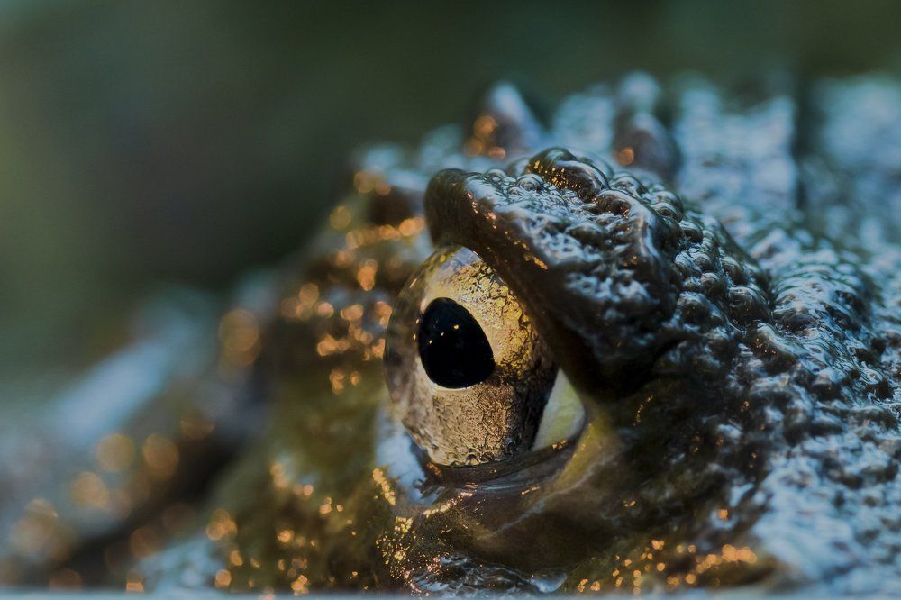 Photograph by Irina Volkova