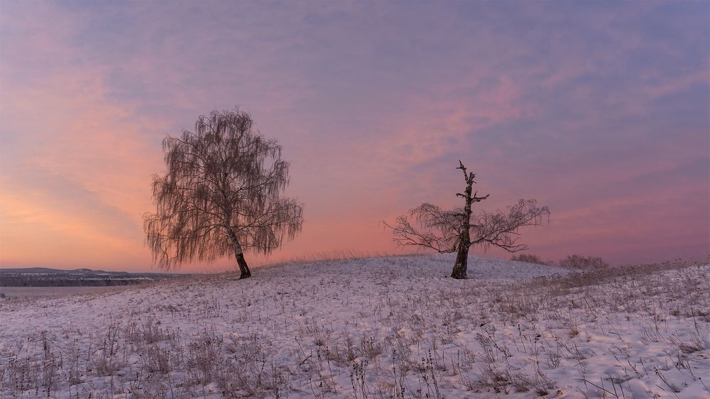Розовый вечер