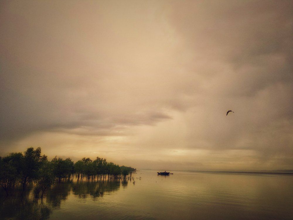 solace