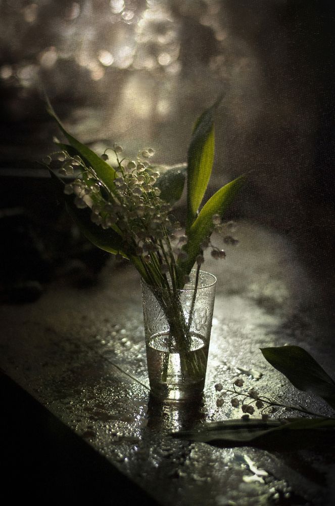 Майский дождь