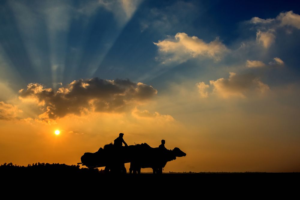 Bangladesh Through My Eye