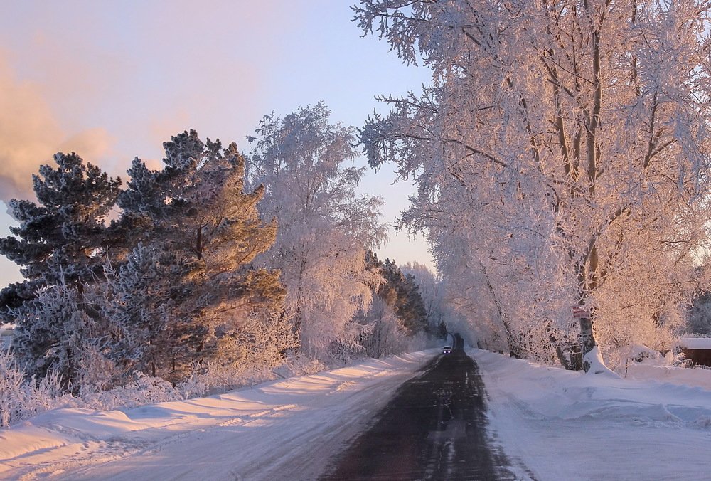 Снежно-розовый пейзаж.