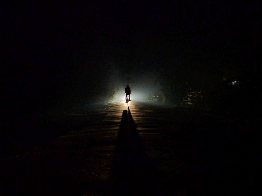 traveller