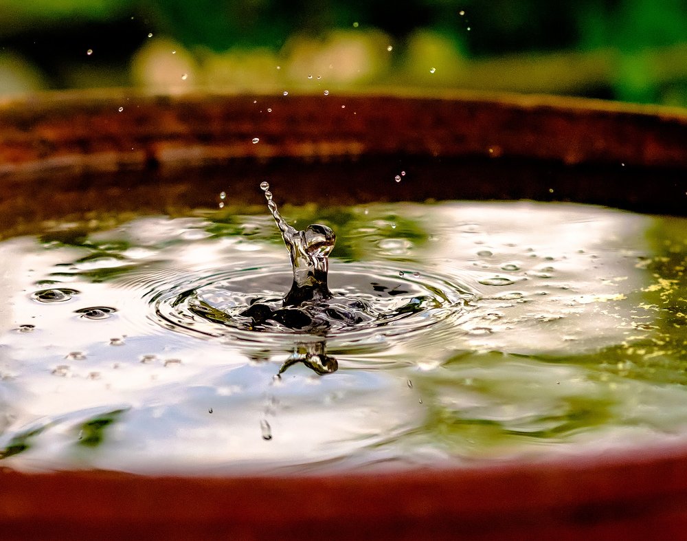 Терминатор. Новая история.