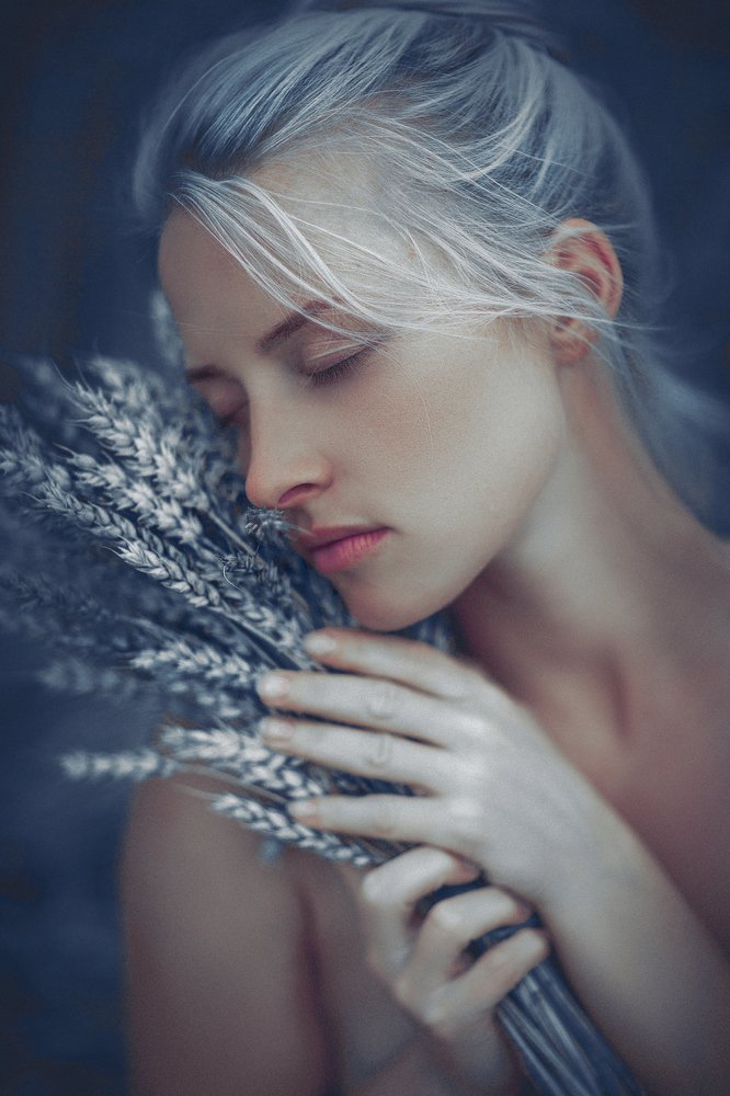 Poetry of the Nature