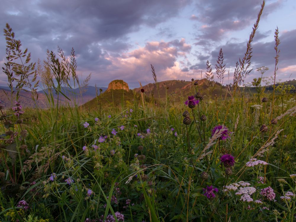 Гора Шляпная