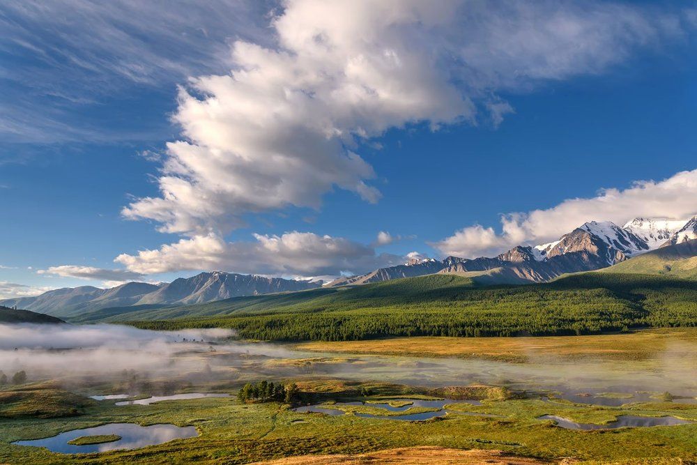 Солнечное утро...