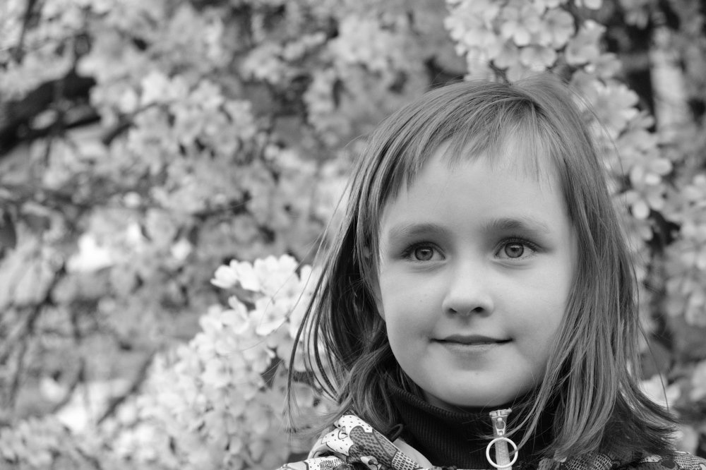 Яблони в цвету