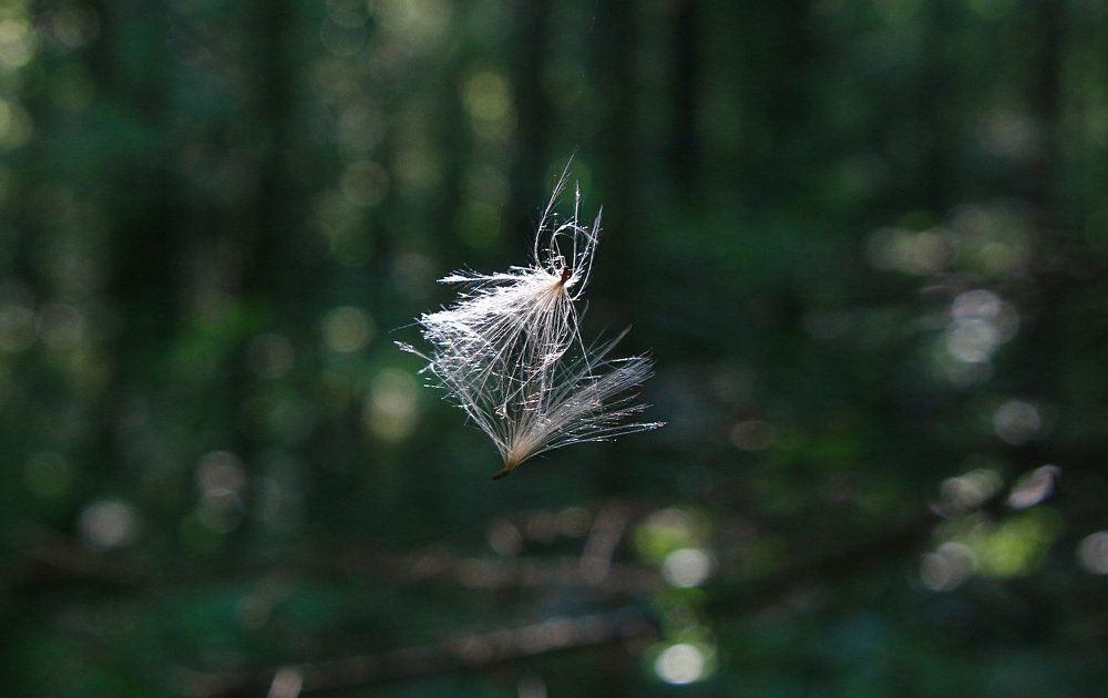 Танец в невесомости