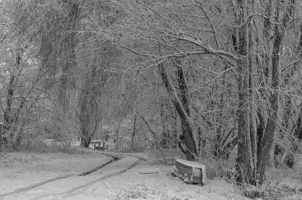 после снегопада...