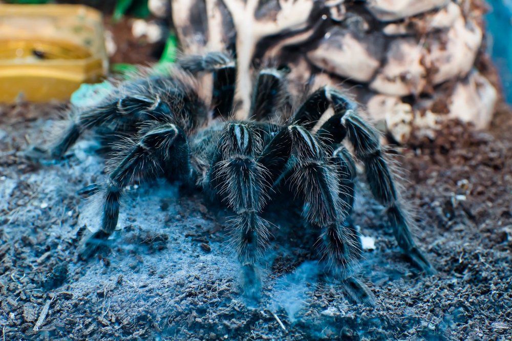 Photograph by Irina Volkova