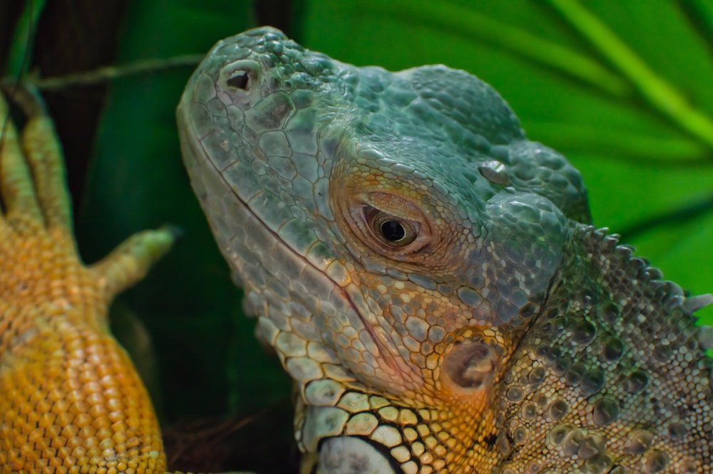 Photograph by Irina Volkova