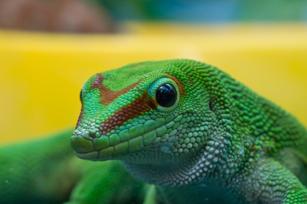 Photograph by Irina Volkova