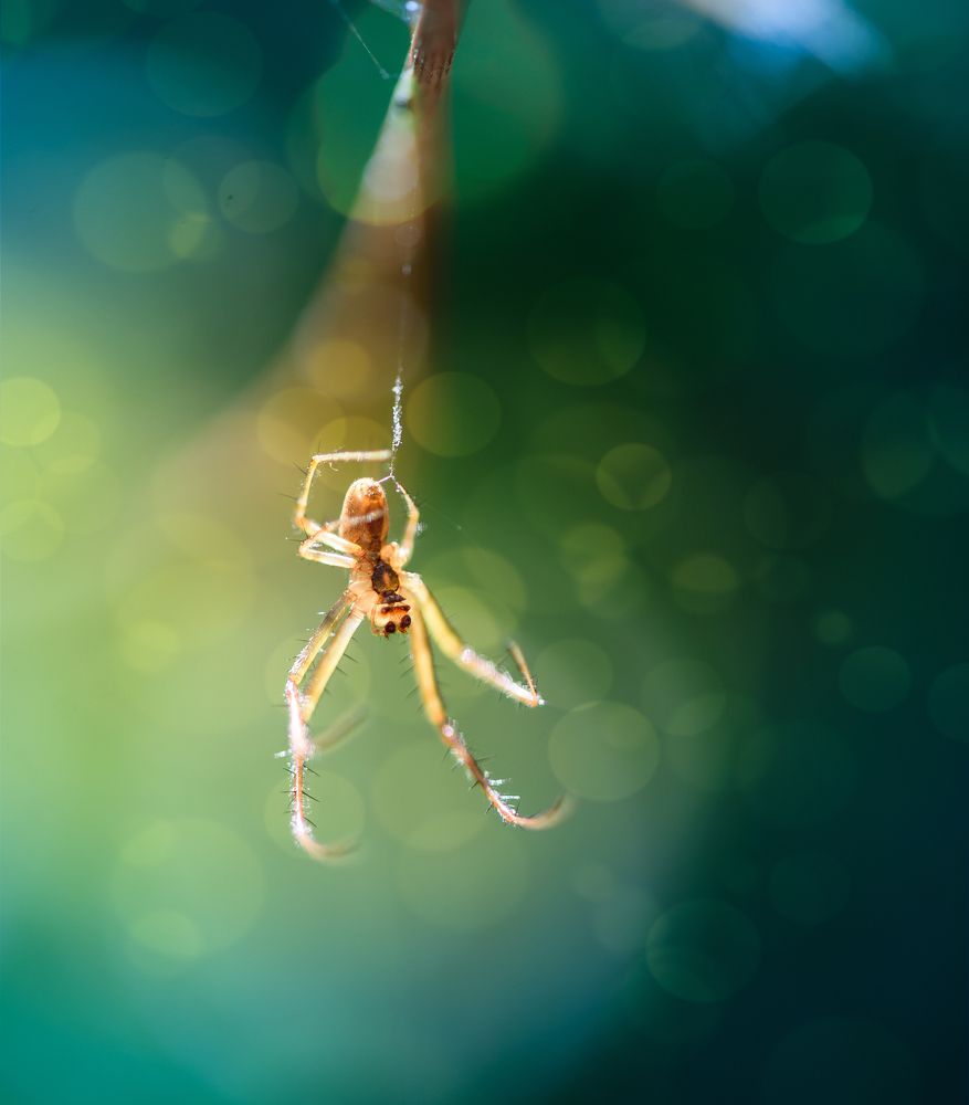 Photograph by Ahmed Emin