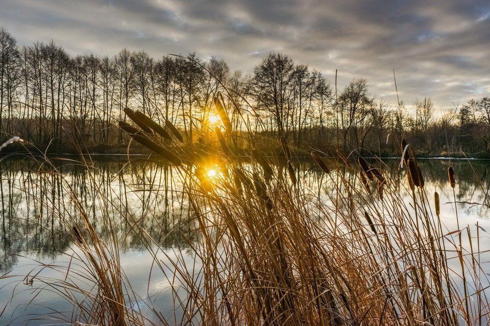 январское утро