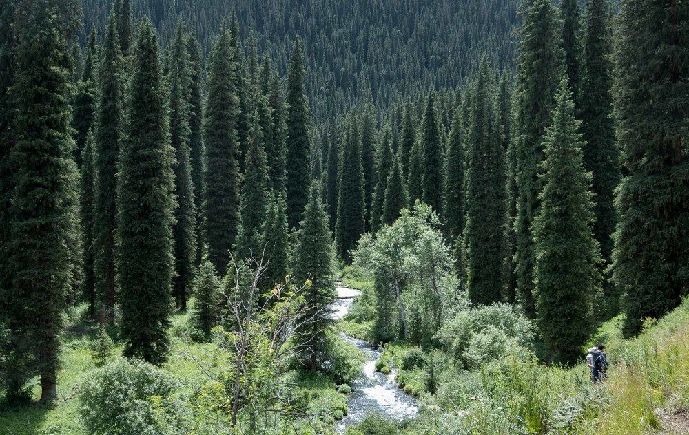 Хранители гор - Mountain Guardians