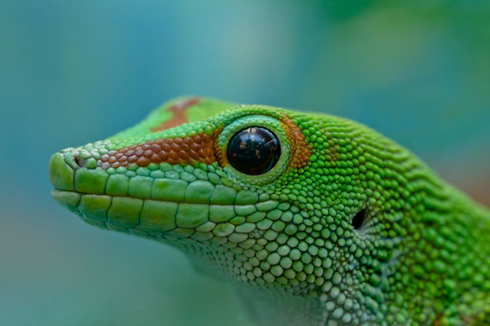 Photograph by Irina Volkova