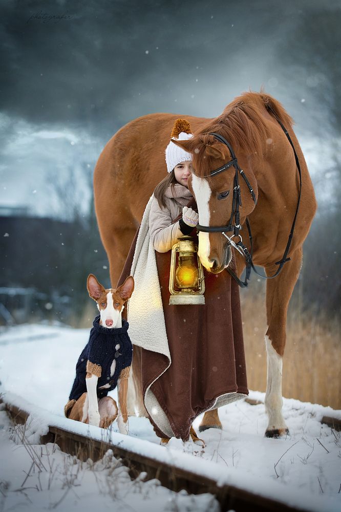 Сказка странствий.