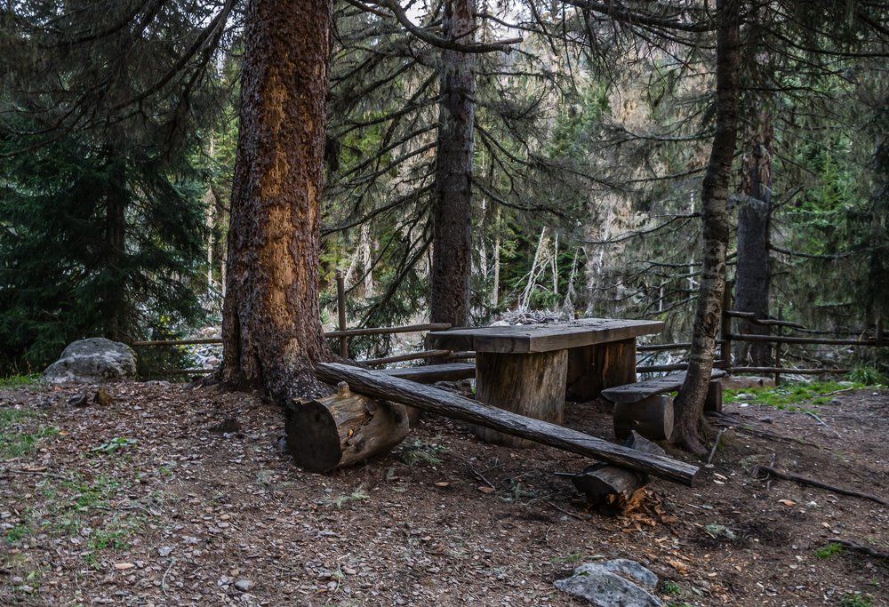 Есть в чаще лесной...