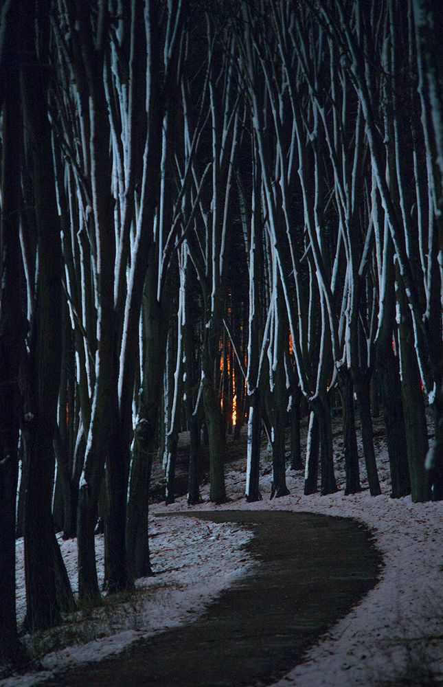 Морозная ночь.