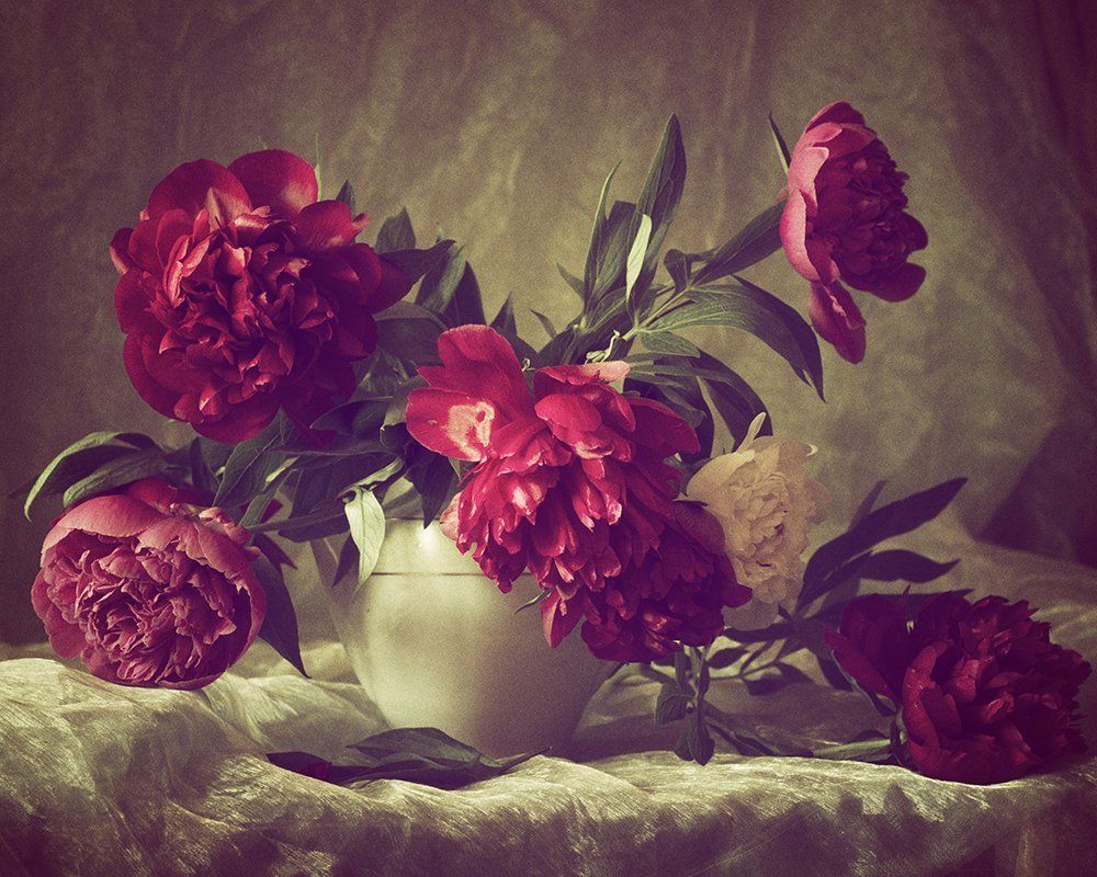 Photograph by Petya Radkova