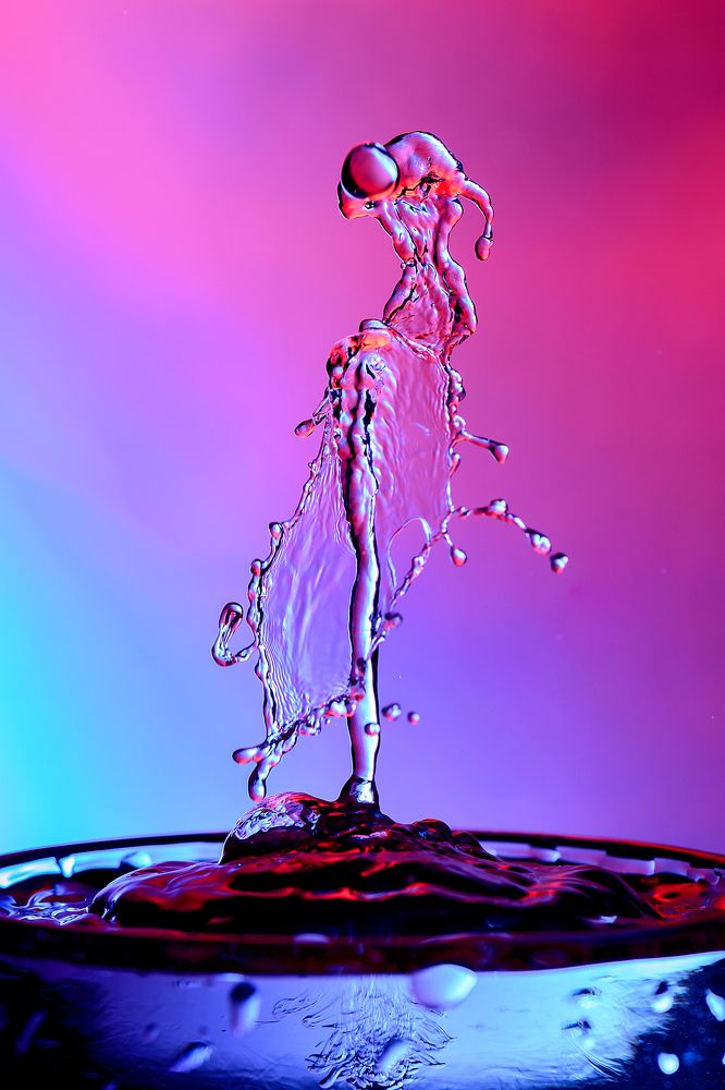 метаморфозы