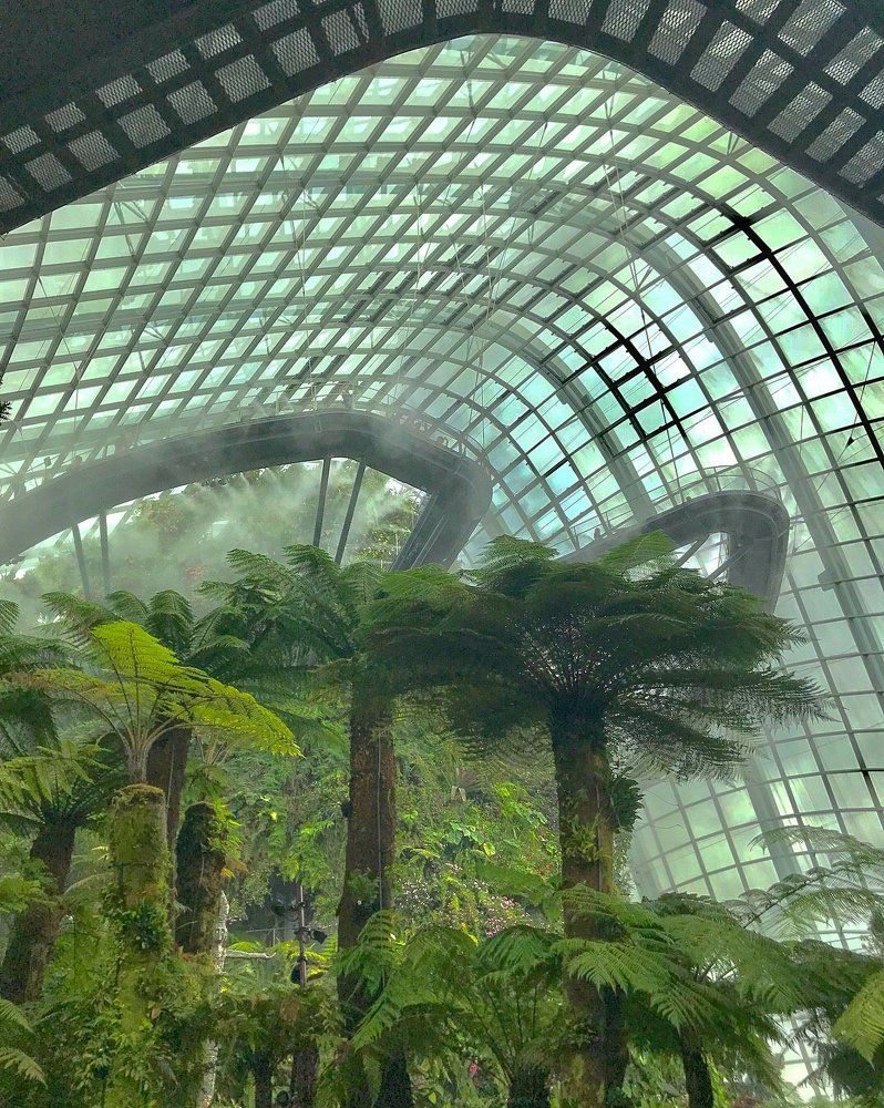 Eco UFO in Singapore