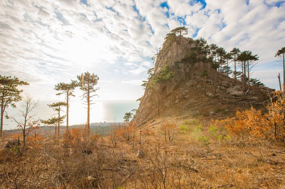 Зимняя Шаан-Кая