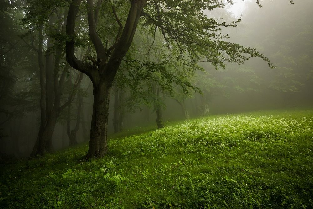 Photograph by Todor Todorov