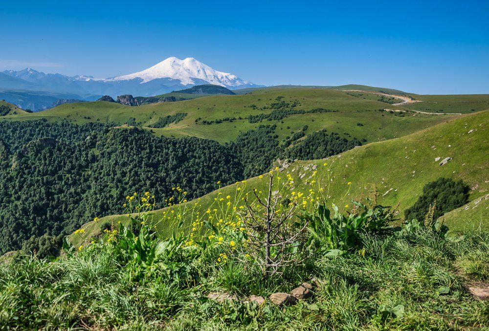 Ну, здравствуй, старый Эль!